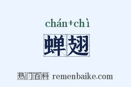 蝉翅是什么意思的图片